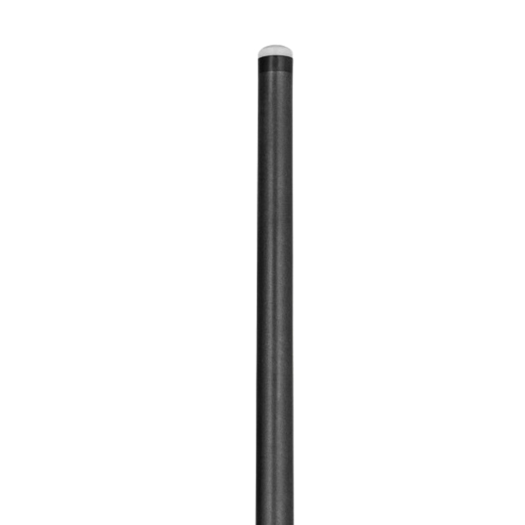 Pechauer - Queue - Jump  Carbon Pro